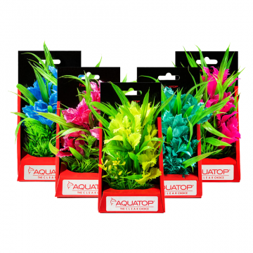 AQUATOP PD-VP 6 Inch Vibrant Passion Plant Optional Colors